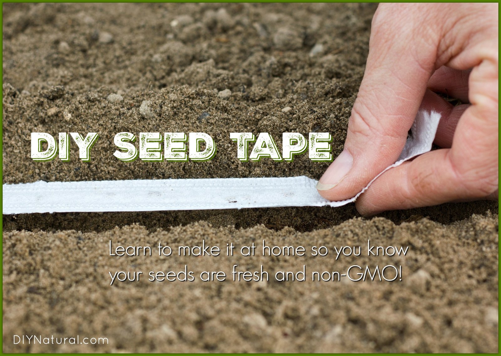 The Ultimate Guide to Seed Tape: Simplifying Your Garden Sowing Technique